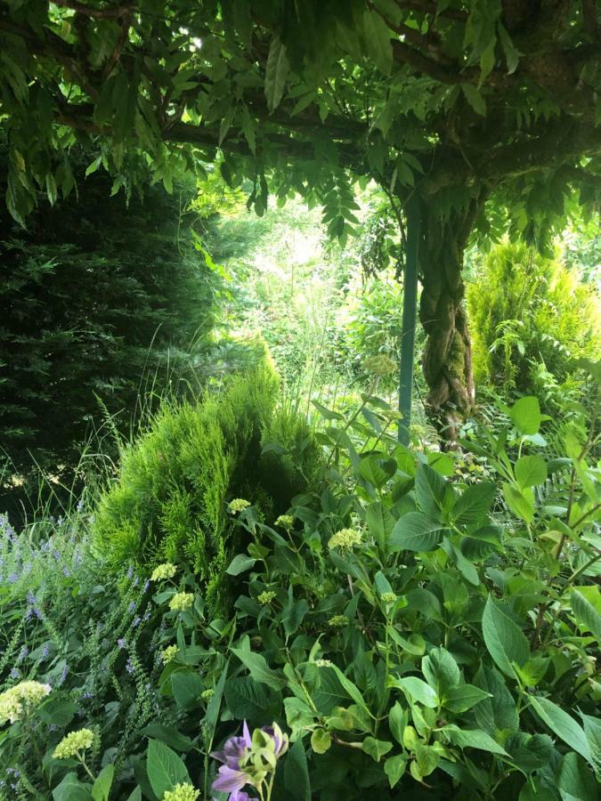 Lo'Gite L'Allee Du Val Lalaye Zewnętrze zdjęcie