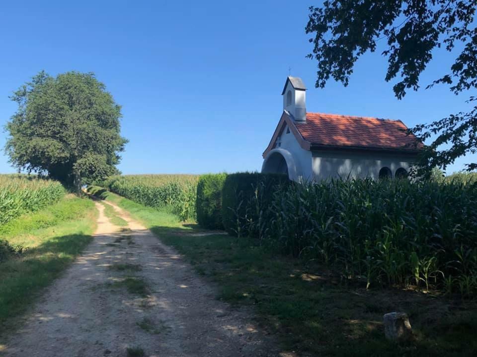 Lo'Gite L'Allee Du Val Lalaye Zewnętrze zdjęcie