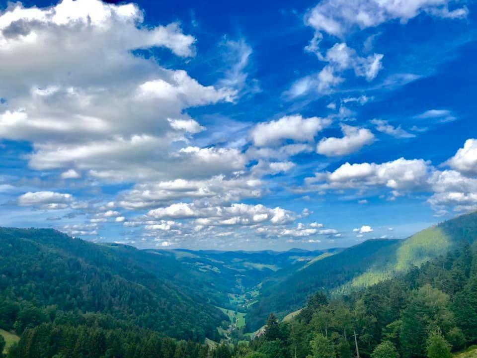 Lo'Gite L'Allee Du Val Lalaye Zewnętrze zdjęcie