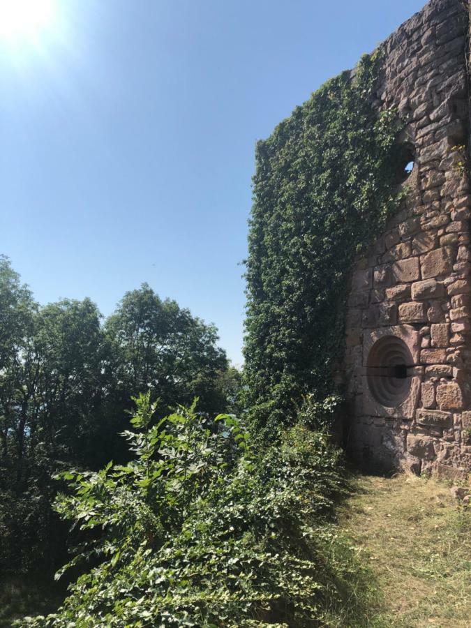 Lo'Gite L'Allee Du Val Lalaye Zewnętrze zdjęcie